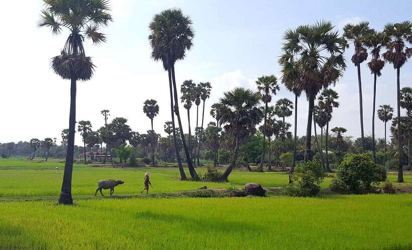 Siem Reap: 3-Hour Ancient Trails Motorbike Tour - Heat, dust, and road confidence