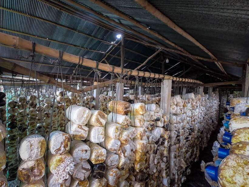 Siem Reap: Afternoon Cooking Class & Village Tour - What You Eat At The End