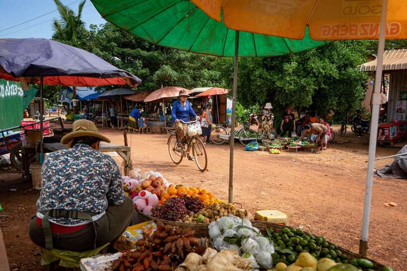 Siem Reap: Afternoon Cooking Class & Village Tour - Seeing Village Life Beyond The City