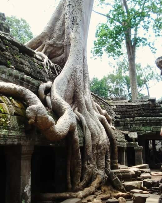 Siem Reap: Angkor 1-Day Private Tour with Sunset or Sunrise - Who should choose this experience