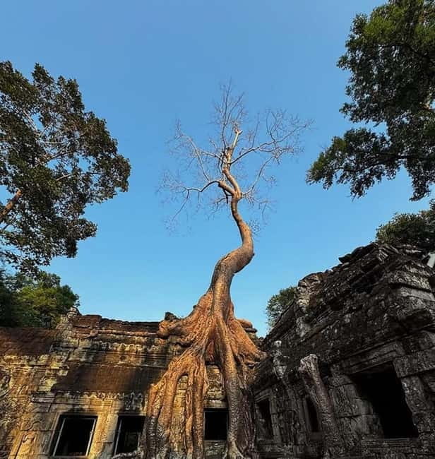 Siem Reap: Angkor 1-Day Private Tour with Sunset or Sunrise - What this private Angkor tour does well