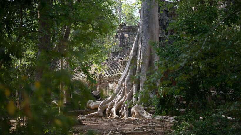 Siem Reap: Angkor Temples Off-Track Bicycle Tour - Key points at a glance