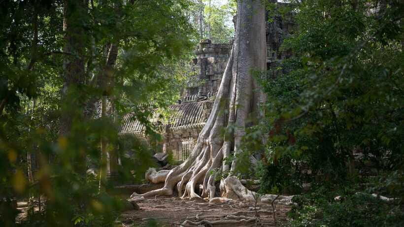 Siem Reap: Angkor Temples Off-Track Bicycle Tour - Preah Khan, a larger temple with breathing room