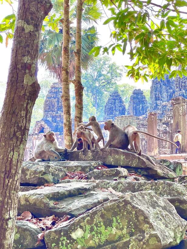 Siem Reap: Angkor Wat Private full Day Tour - The Terrace of the Elephants in 15 minutes