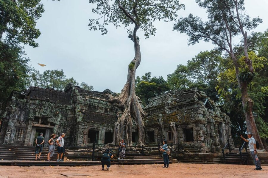 Siem Reap: Angkor Wat Small-Group Full Day Tour and Sunset - Ta Prohm, where trees take over the temple