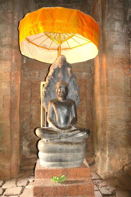 Siem Reap: Angkor Wat: Small-Group with Sunset Tour - Ta Prohm: where jungle and stone share the frame