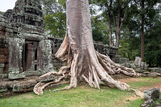Siem Reap: Angkor Wat Sunrise Bike Tour & Jungle Breakfast - The Terrace of the Elephants and the ride between monuments