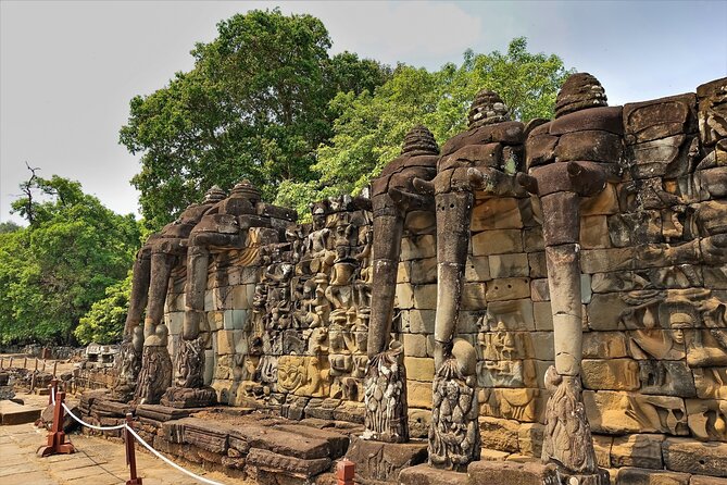 Siem Reap: Angkor Wat Sunrise Bike Tour & Jungle Breakfast - Ta Prohm, where trees claim the stones