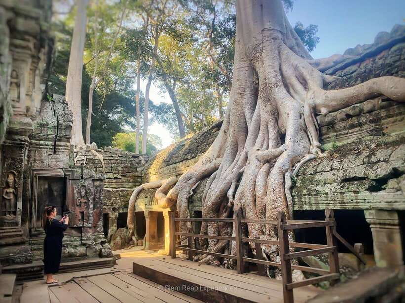 Siem Reap: Angkor Wat Sunrise or Sunset Guided Tour - Why this early start is worth it