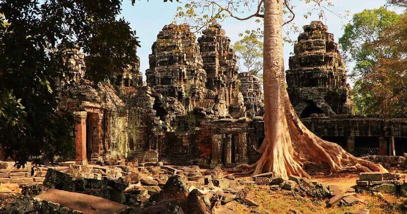 Siem Reap: Angkor Wat Tour Explore The Most Iconic Temples - Ta Prohm and the famous tree roots