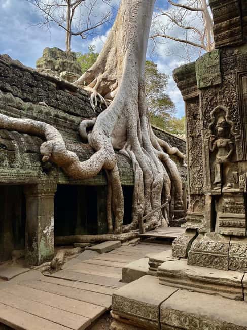 Siem Reap: Angkor Wat Tour with French-Speaking Guide - Ta Prohm and the roots that changed temple tourism