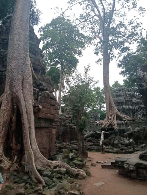 Siem Reap: Angkor Wat Tour with Italian-Speaking Guide - Lunch beside Srah Srang, with time to reset