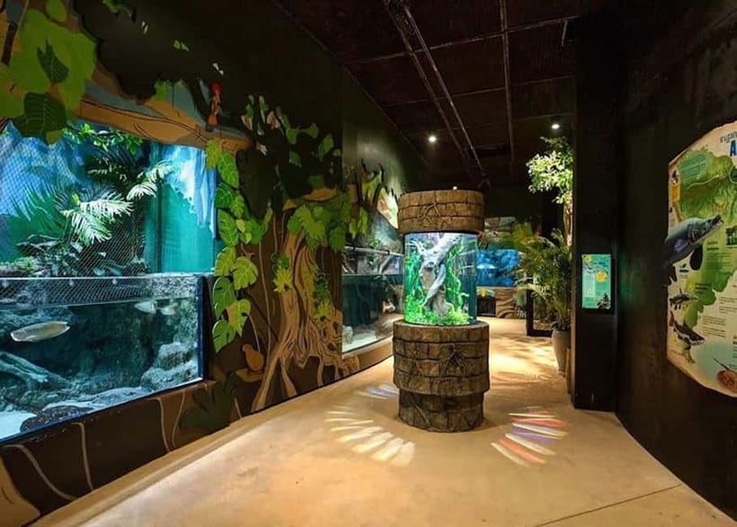 Siem Reap: Angkor Wildlife & Aquarium Entrance Ticket - Why this makes sense after Angkor Wat