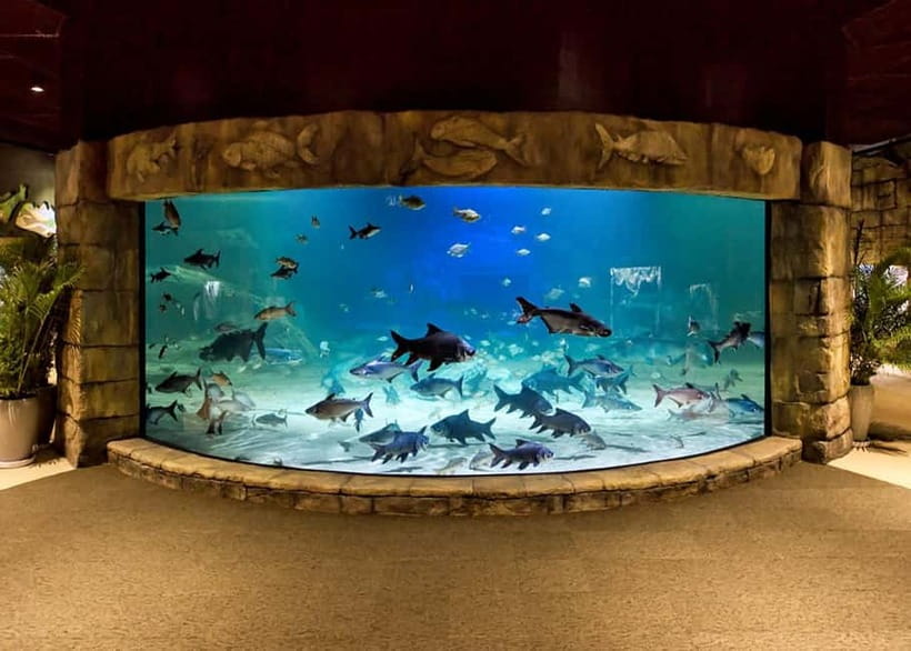 Siem Reap: Angkor Wildlife & Aquarium Entrance Ticket - The afternoon option from 12:35 PM