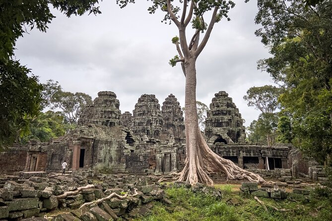 Siem Reap: Bike the Angkor Temples - Full-Day 30km Tour - Ta Prohm, where the jungle takes over