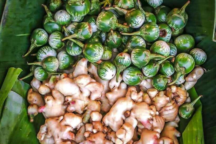 Siem Reap: Cambodia local street foods and local guide - Is $90 per person good value?
