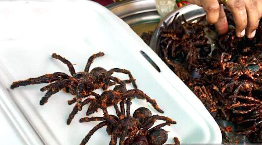 Siem Reap: Cambodia local street foods and local guide - Who will enjoy this Siem Reap food tour?