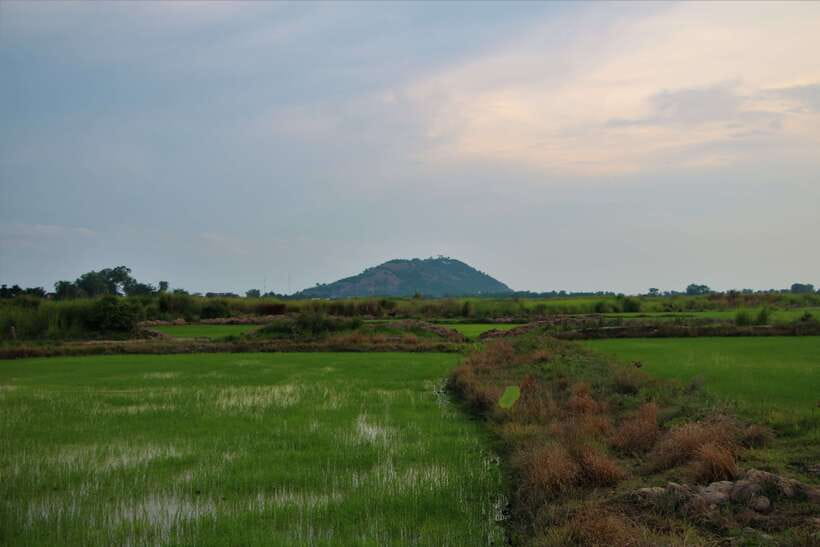 Siem Reap: Countryside Cycle and Local Village Life Tour - Key points before you book