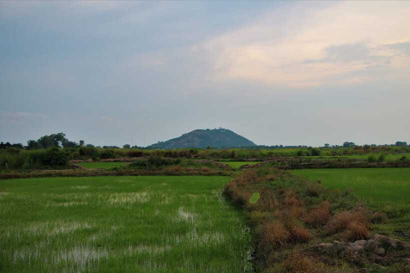 Siem Reap: Countryside Cycle and Local Village Life Tour - Why the guides matter so much