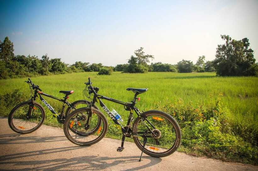 Siem Reap: Countryside Cycle and Local Village Life Tour - A lotus-field sunset