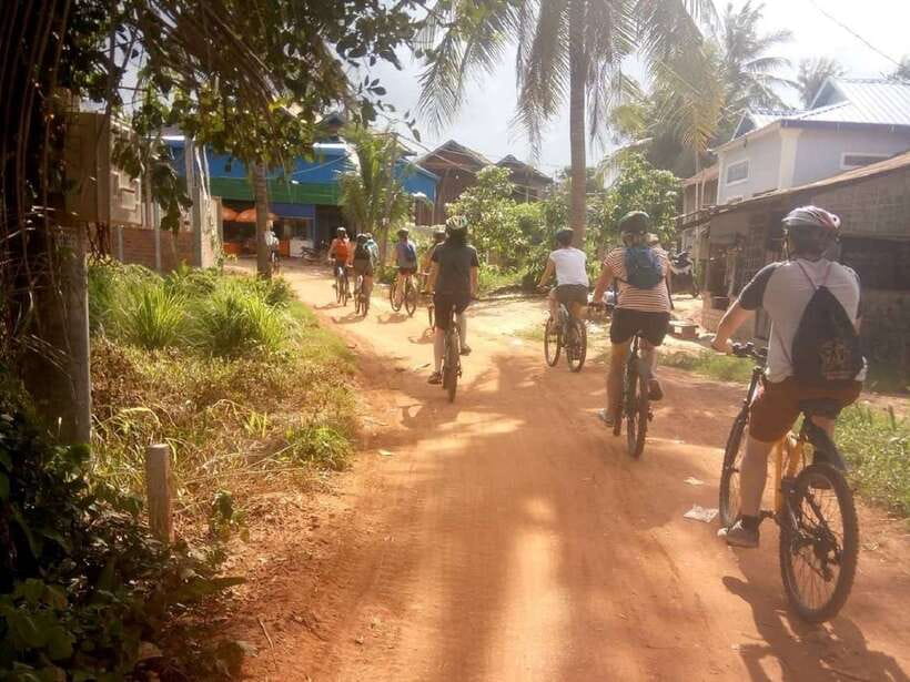 Siem Reap: Countryside Cycle and Local Village Life Tour - Rice fields and the working countryside