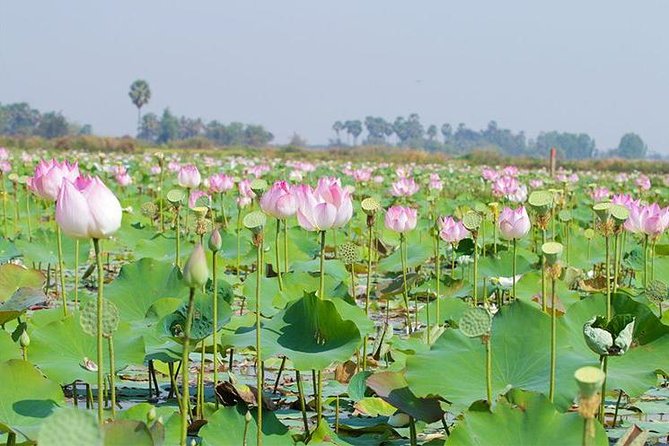 Siem Reap Countryside Sunset Jeep Tour - Half-day - Who will enjoy this evening ride most