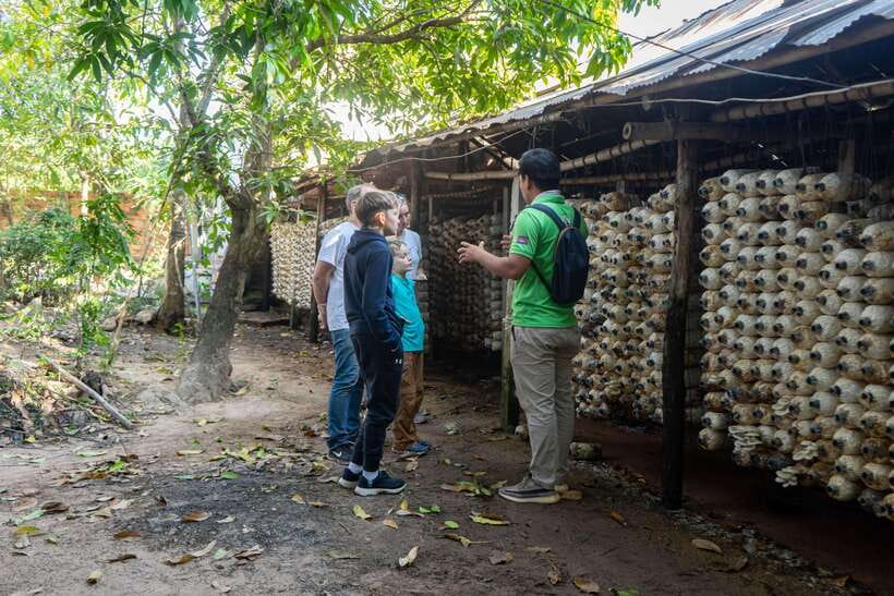 Siem Reap Countryside Sunset Vespa Tour or Tuk Tuk - Key Points Before You Book