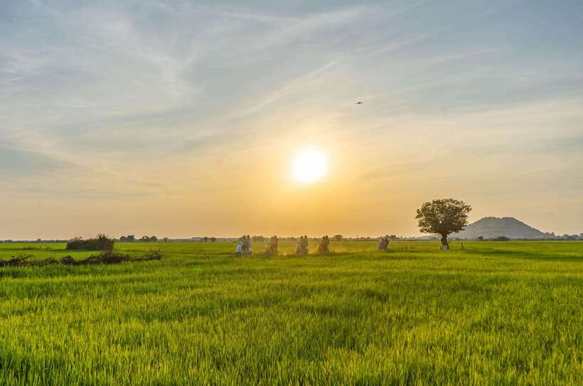 Siem Reap Countryside Sunset Vespa Tour or Tuk Tuk - Why This Half-Day Trip Adds Something Different