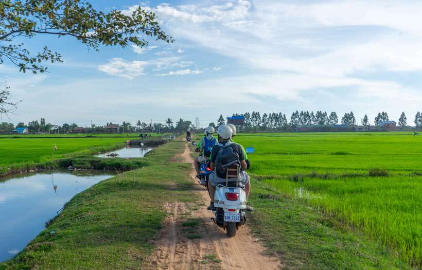 Siem Reap Countryside Sunset Vespa Tour or Tuk Tuk - Chreav Market and the Local Food Economy