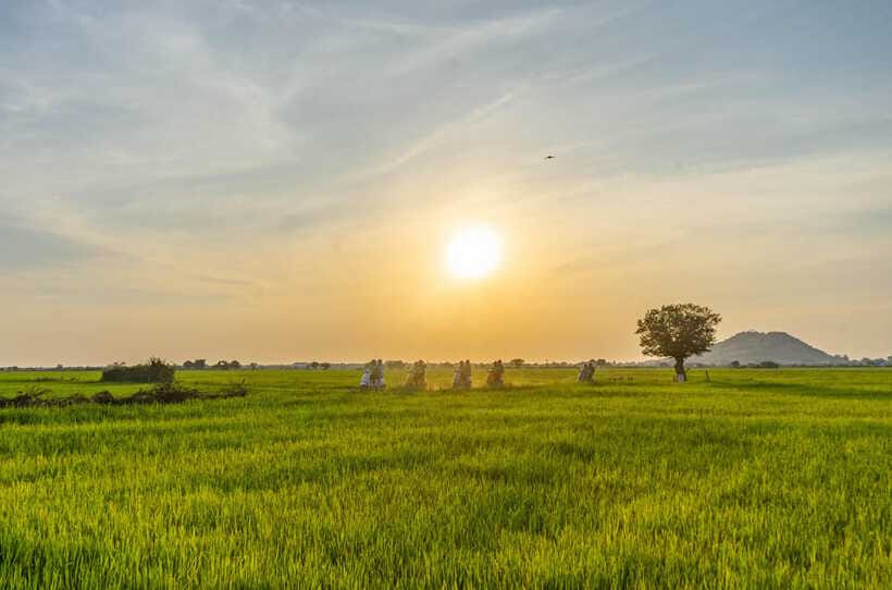 Siem Reap Countryside Sunset Vespa Tour or Tuk Tuk - Wat Po Banteaychey and a Remote Buddhist Temple