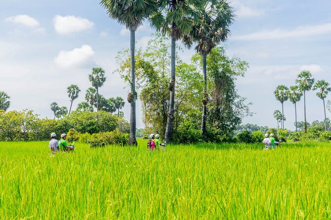 Siem Reap: Countryside Vespa Tour / Tuk Tuk Available - Why This $26 Half-Day Ride Offers Good Value