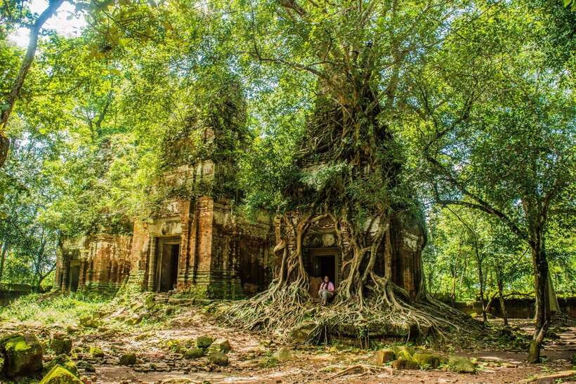 Siem Reap: Day Trip to Koh Ker and Beng Mealea Temples - Beng Mealea, a jungle temple with a different mood