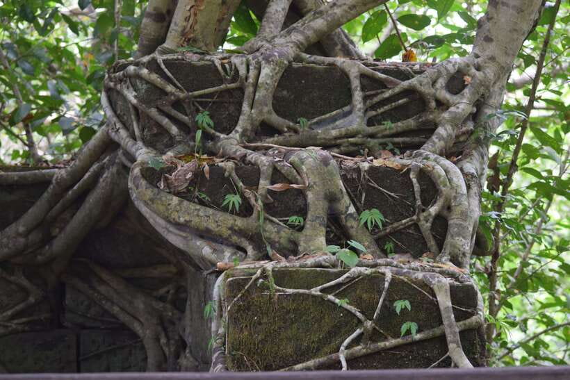 Siem Reap: Day Trip to Koh Ker and Beng Mealea Temples - Should you book it?