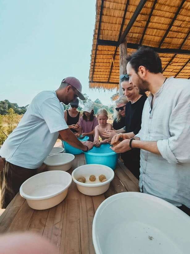 Siem Reap: Elephant Sanctuary Included Hotel Pickup Drop-off - Key Points Before You Book