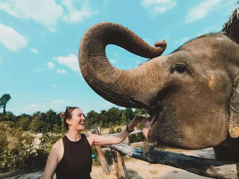 Siem Reap: Elephant Sanctuary Included Hotel Pickup Drop-off - What Your $128 Pays For