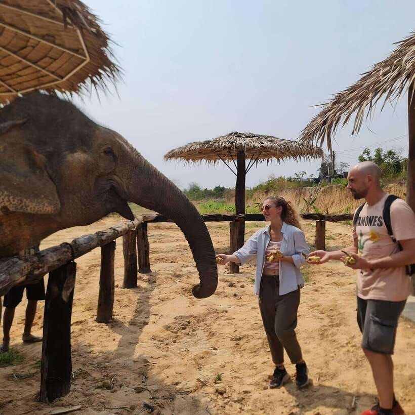 Siem Reap: Elephant Sanctuary Included Hotel Pickup Drop-off - Meeting the Elephants and Guide