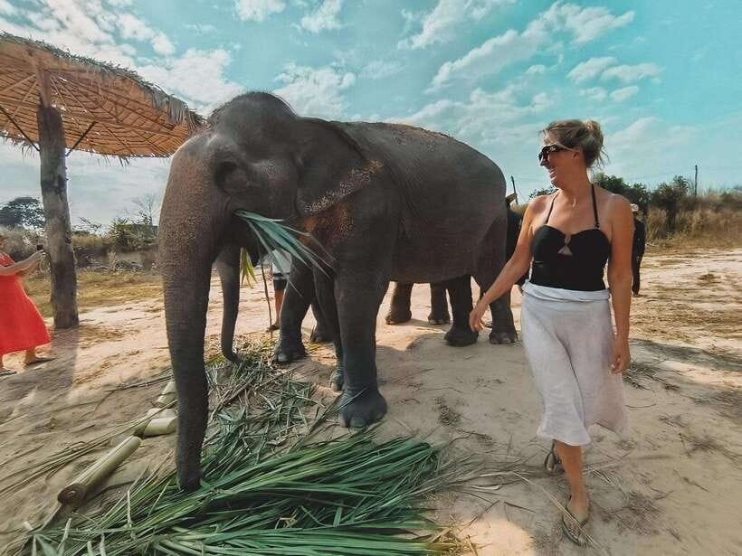 Siem Reap: Elephant Sanctuary Included Hotel Pickup Drop-off - The Mud Bath With Elephants