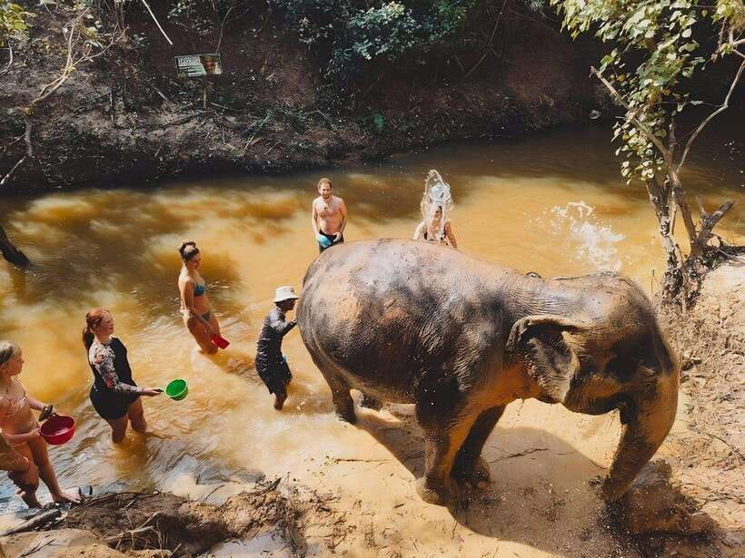 Siem Reap: Elephant Sanctuary Included Hotel Pickup Drop-off - Bathing the Elephants