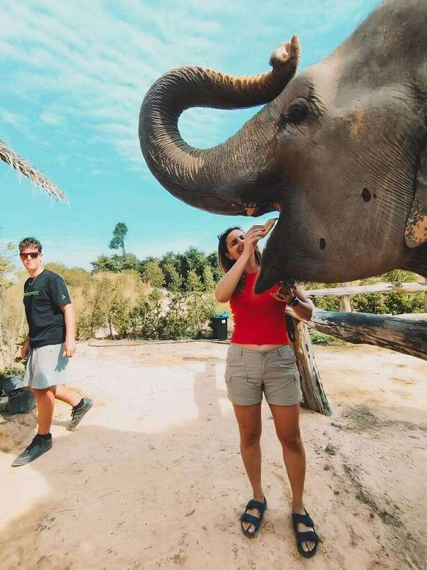 Siem Reap: Elephant Sanctuary Included Hotel Pickup Drop-off - What to Pack for a Muddy Morning or Afternoon