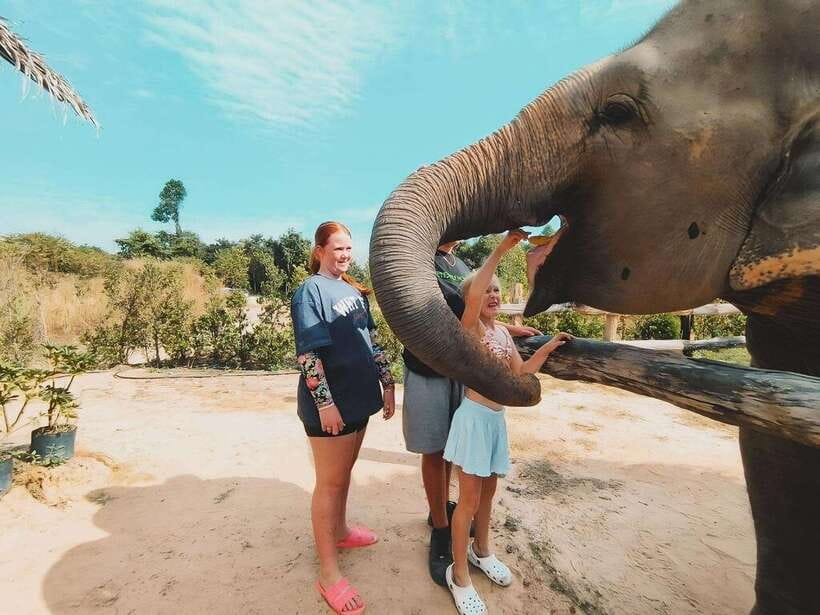 Siem Reap: Elephant Sanctuary Included Hotel Pickup Drop-off - The Ride From Siem Reap