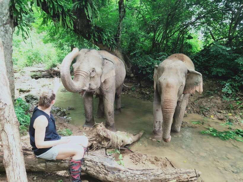 Siem Reap: Elephants & Apopo Rat Demining Private Trip - Key points to know before booking
