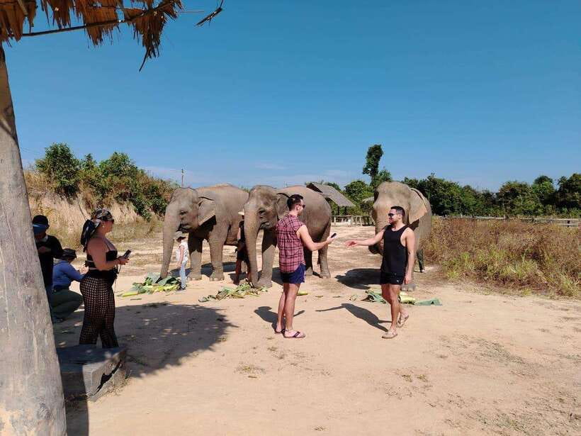 Siem Reap: Elephants & Apopo Rat Demining Private Trip - Why the elephant visit feels different