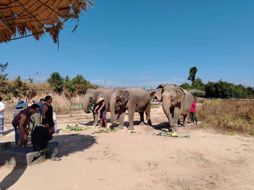 Siem Reap: Elephants & Apopo Rat Demining Private Trip - Who should book this experience?