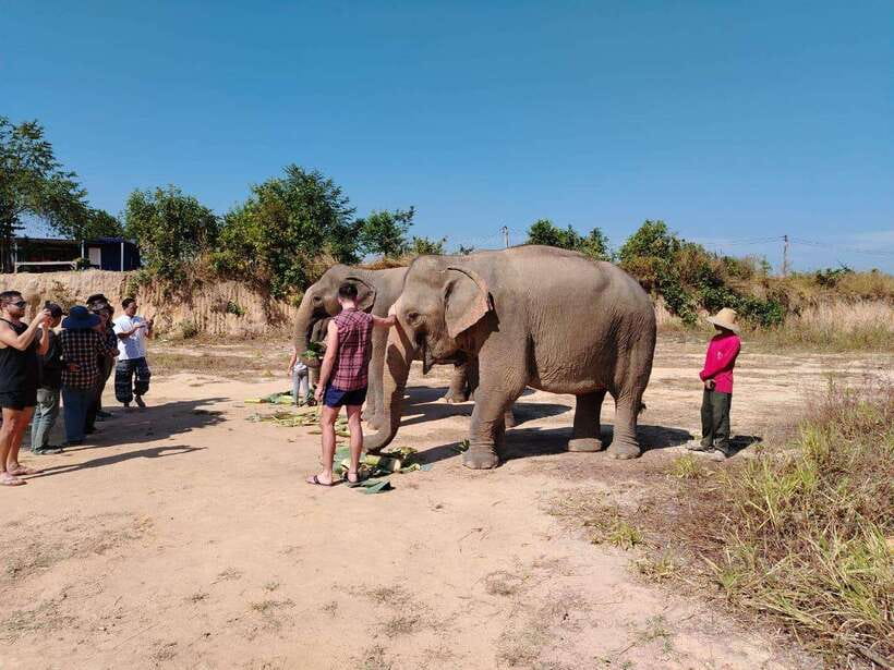 Siem Reap: Elephants & Apopo Rat Demining Private Trip - Practical tips for a smoother day