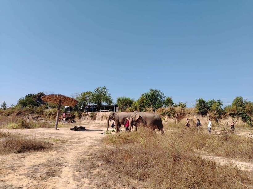 Siem Reap: Elephants & Apopo Rat Demining Private Trip - The ride beyond Siem Reap