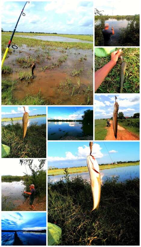 Siem Reap: Fishing in the rice fields, in the villages of Siem Reap - A local market is your first window into Khmer life