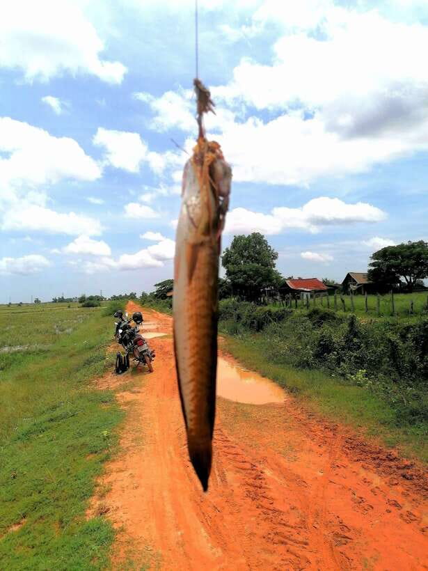 Siem Reap: Fishing in the rice fields, in the villages of Siem Reap - Snacks, lunch, and the option to cook your catch