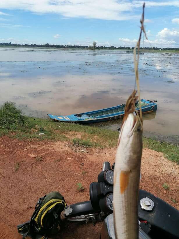 Siem Reap: Fishing in the rice fields, in the villages of Siem Reap - Who should book this experience?