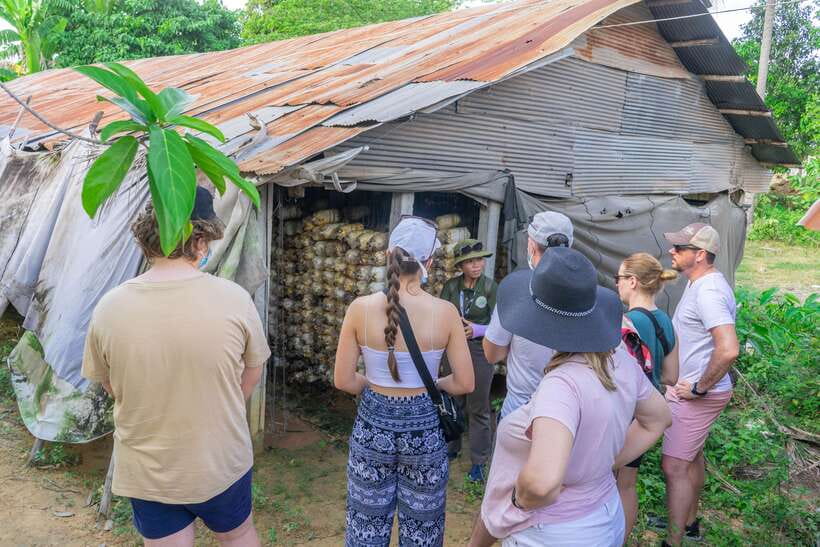 Siem Reap Floating Village Sunset Jeep Tour or SUV Car - Key points at a glance