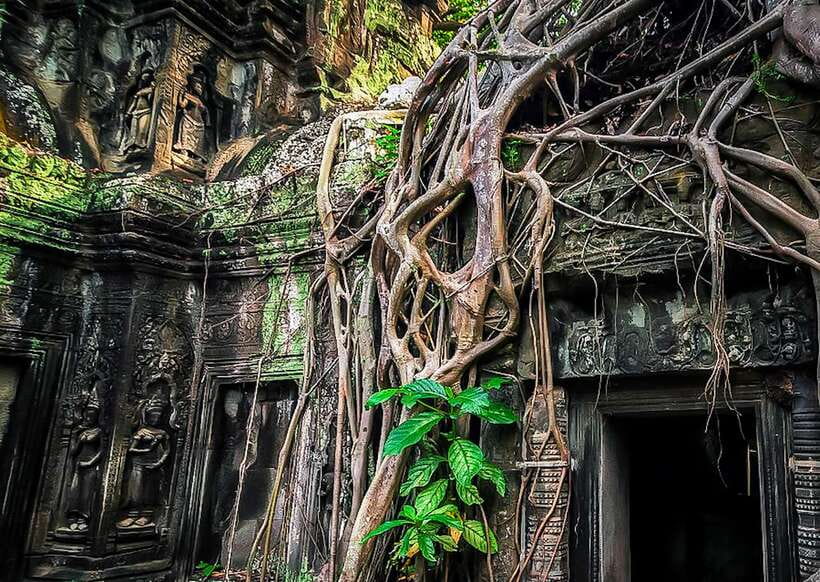 Siem Reap: Full-Day Angkor Wat Guided Tour with Sunset - Bayon’s smiling faces need a guide